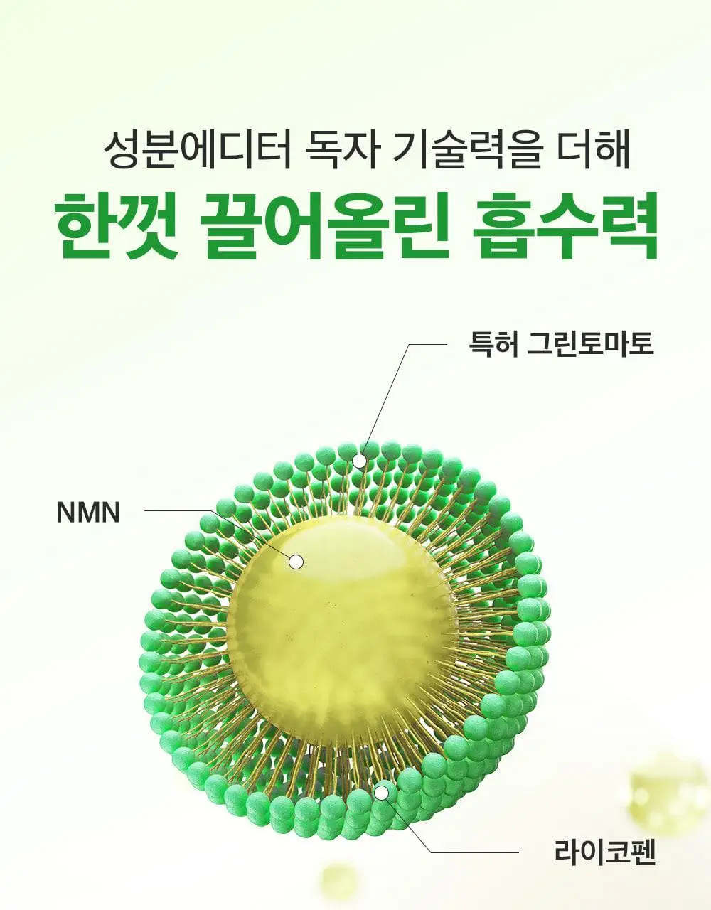 [모공타이트닝앰플/4중모공개선] 성분에디터 그린토마토 NMN 포어 리프팅 앰플 40ml 상세페이지 47